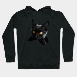 black cat eyes Hoodie